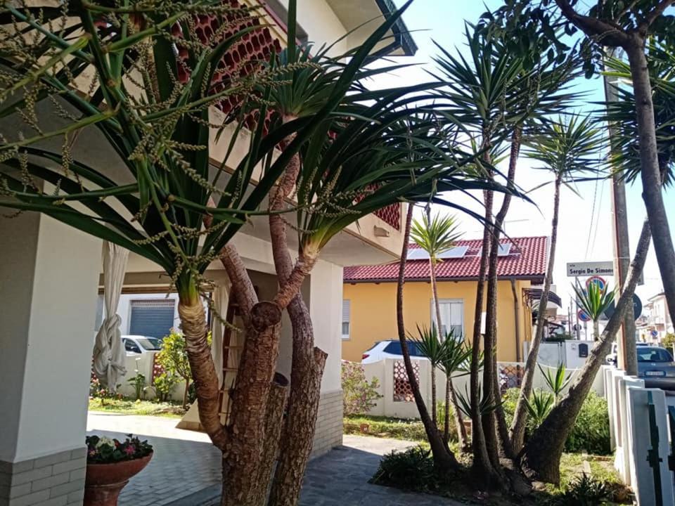 Florinda B&B Viareggio Luaran gambar